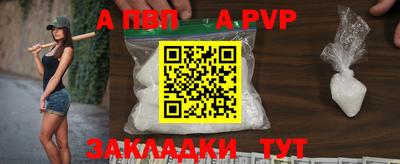 твердый Кингисепп