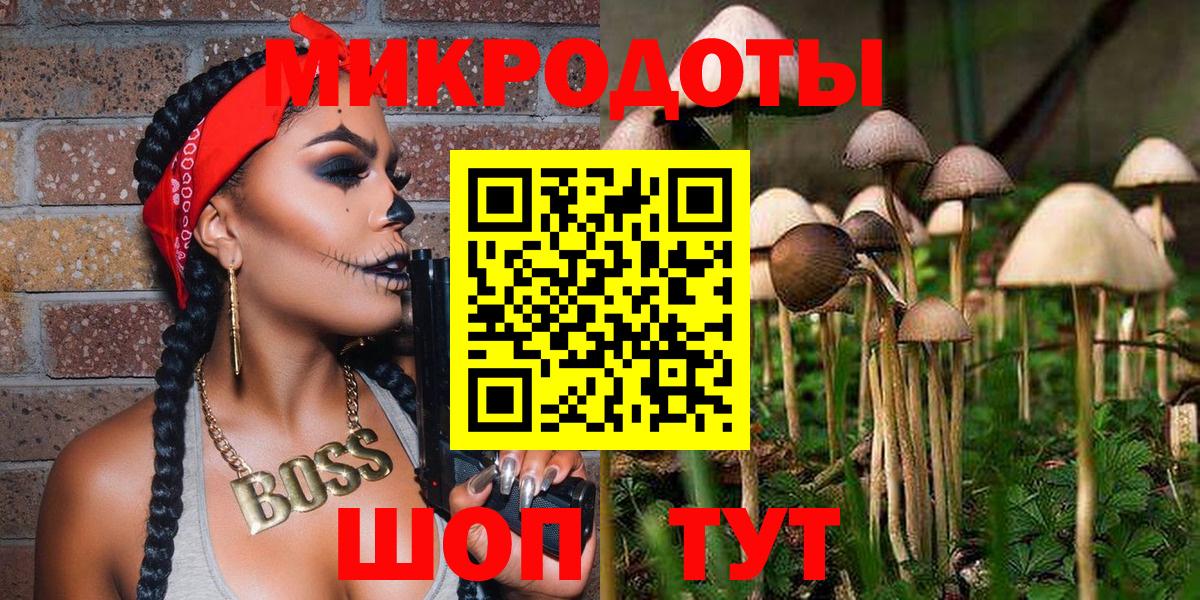 Галлюциногенные грибы Psilocybine cubensis Шарыпово