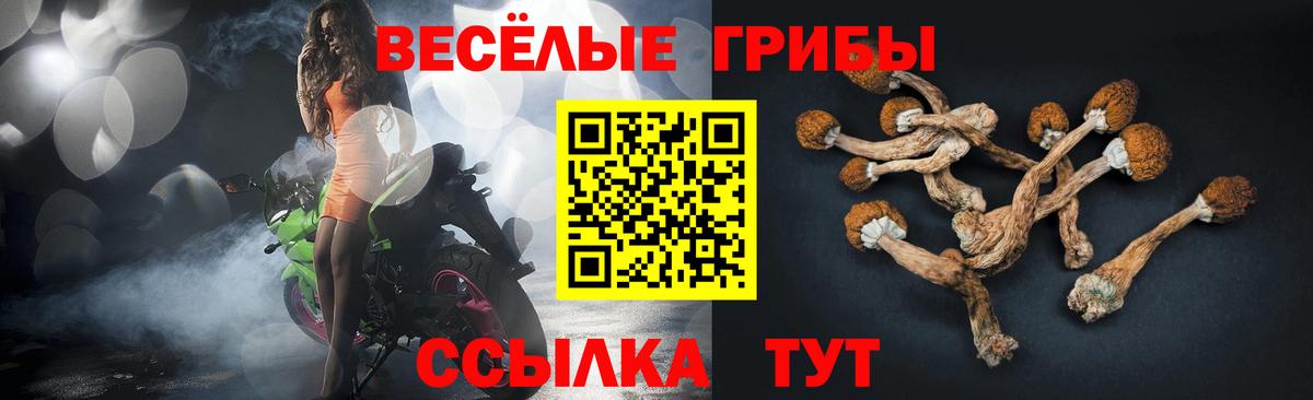Галлюциногенные грибы Psilocybine cubensis  Вход с VPN  Шарыпово  Галлюциногенные грибы ЛСД 